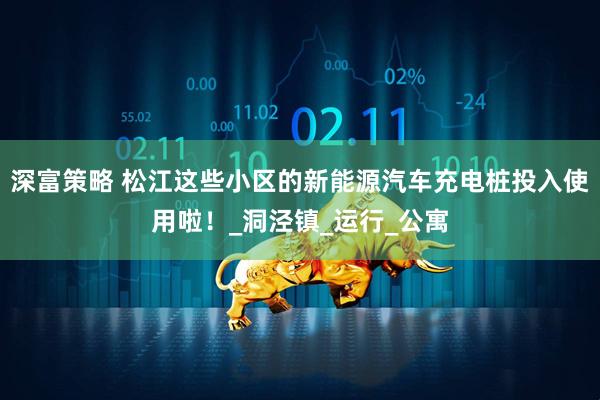 深富策略 松江这些小区的新能源汽车充电桩投入使用啦！_洞泾镇_运行_公寓