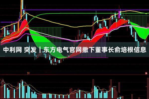 中利网 突发｜东方电气官网撤下董事长俞培根信息