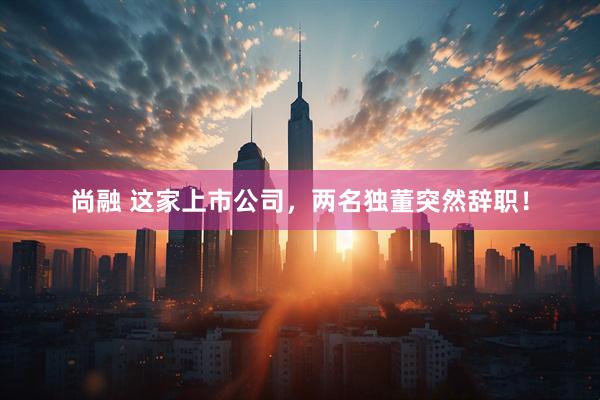 尚融 这家上市公司，两名独董突然辞职！