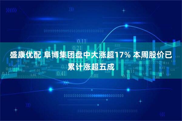 盛康优配 阜博集团盘中大涨超17% 本周股价已累计涨超五成