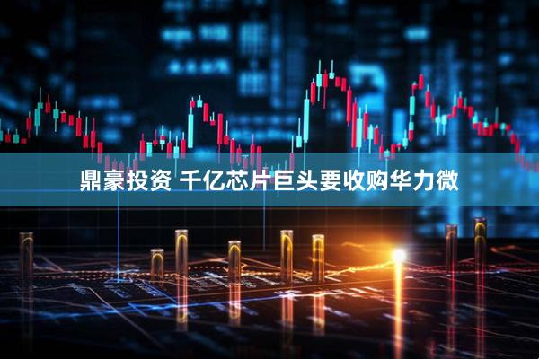 鼎豪投资 千亿芯片巨头要收购华力微
