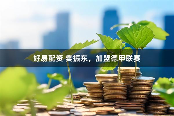 好易配资 樊振东，加盟德甲联赛