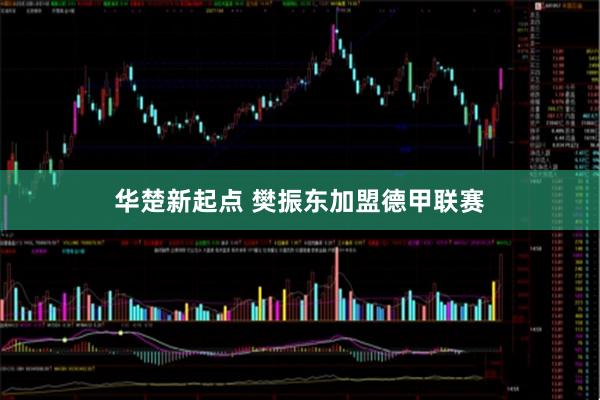 华楚新起点 樊振东加盟德甲联赛