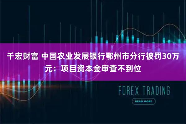 千宏财富 中国农业发展银行鄂州市分行被罚30万元：项目资本金审查不到位