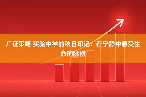 广证策略 实验中学的秋日印记：在宁静中感受生命的脉搏