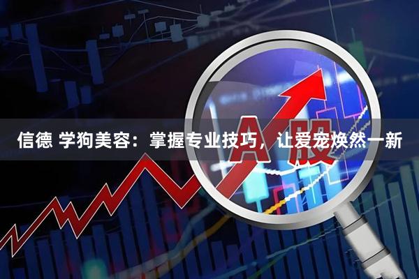 信德 学狗美容：掌握专业技巧，让爱宠焕然一新