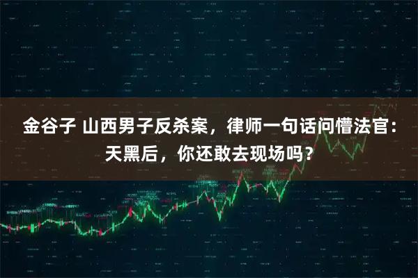 金谷子 山西男子反杀案，律师一句话问懵法官：天黑后，你还敢去现场吗？