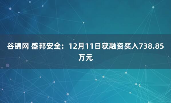 谷锦网 盛邦安全：12月11日获融资买入738.85万元
